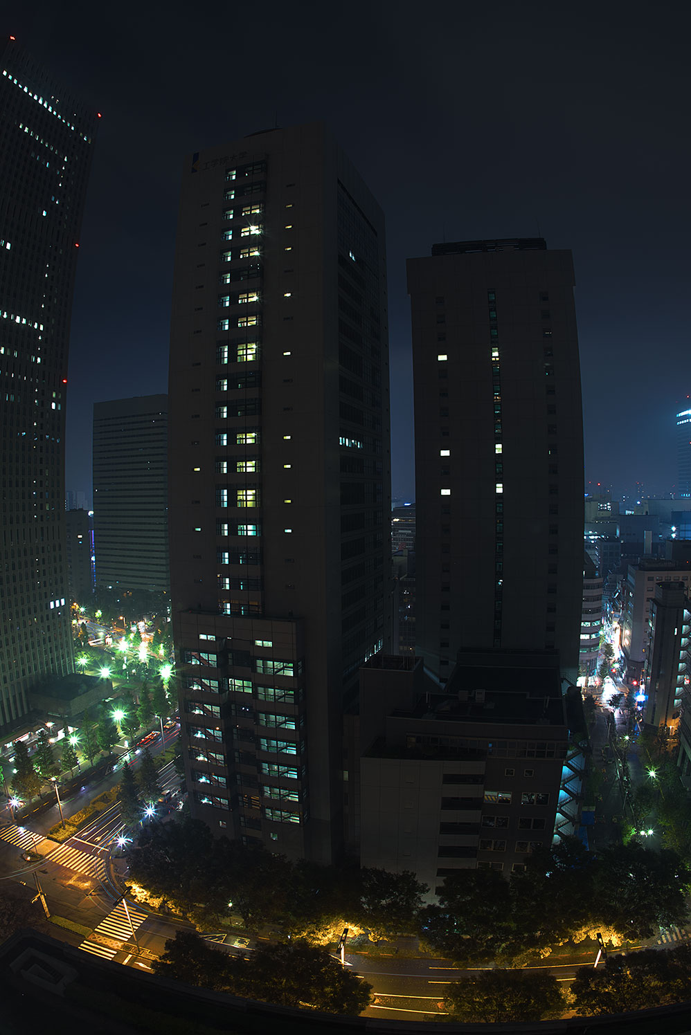 Tokio Keio Plaza Hotel - Room 2016